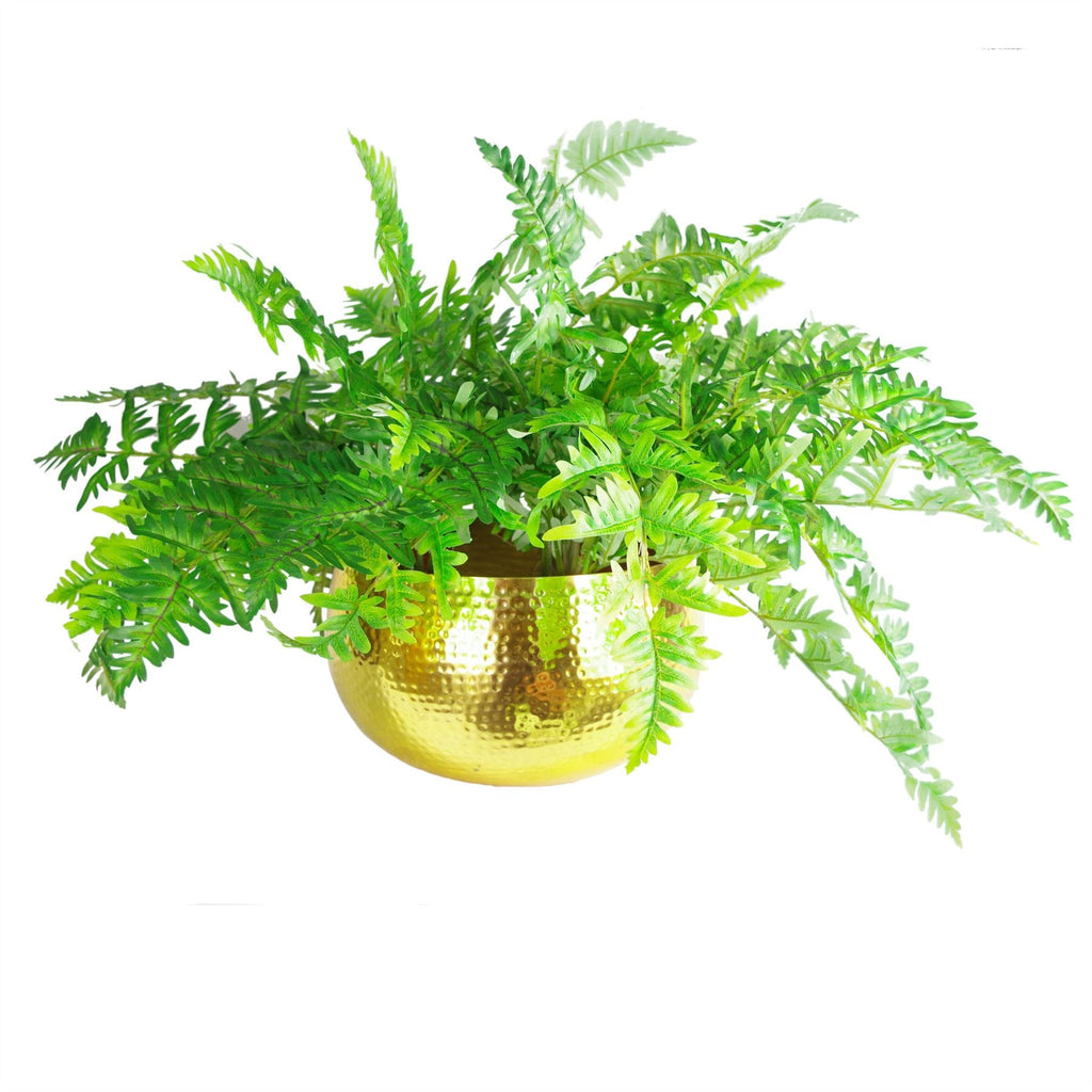 Leaf Metal Bowl Planter 32 x 20cm Hammered Gold Colour Straight Edge