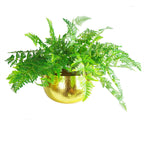 Leaf Metal Bowl Planter 32 x 20cm Hammered Gold Colour Straight Edge