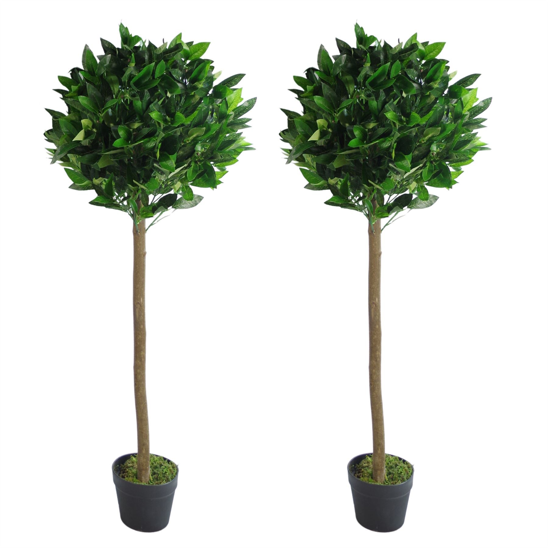 Pair of 120cm Plain Stem Artificial Topiary Bay Laurel Ball Trees