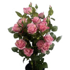 60cm Artificial Premium Rose Bush Pink Silk Flowers and Leaves