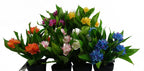 18cm Artificial Freesia Plant Yellow Flowering