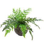 50cm Luxury Artificial Evergreen Fronded Fern Plant