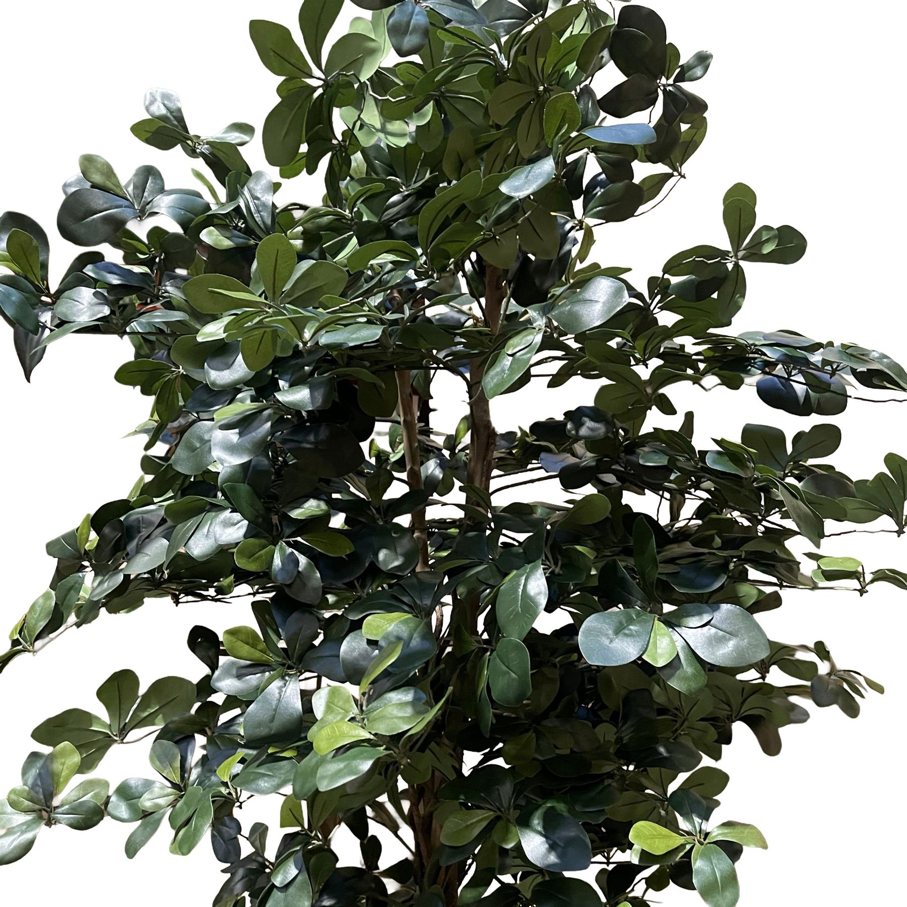 180cm Artificial Fire Retardant Black Olive Tree and Natural Trunk
