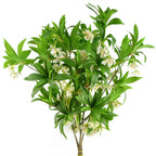 90cm Artificial Hainan Elaeocarpus Stem