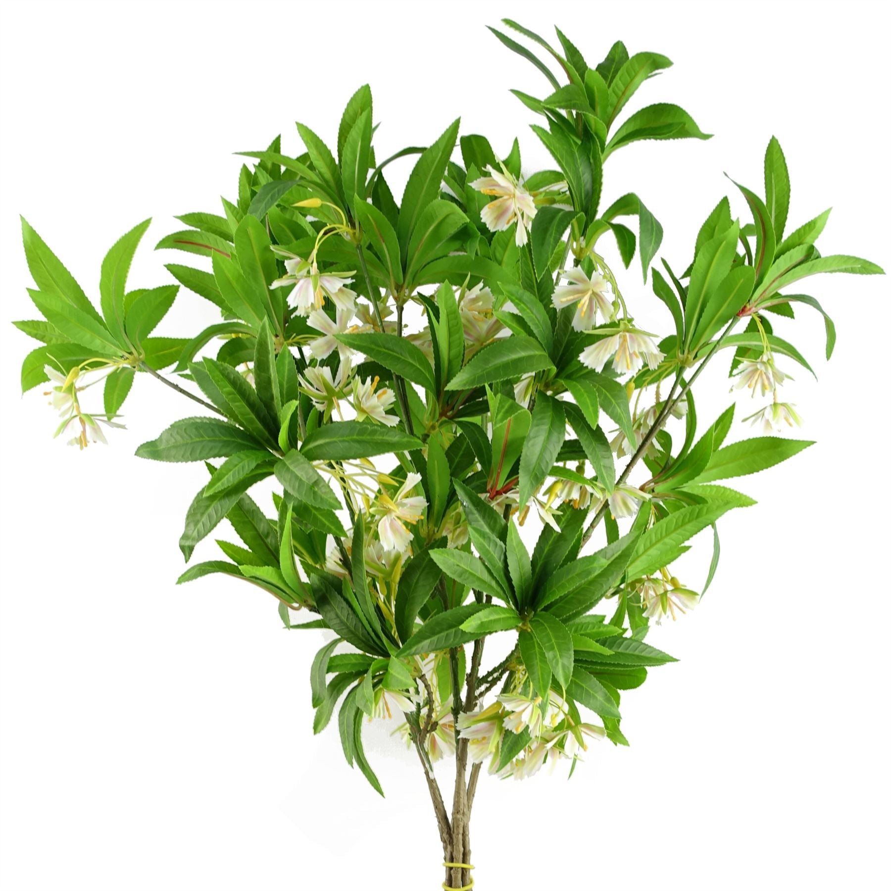 90cm Artificial Hainan Elaeocarpus Stem