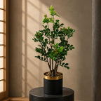 60cm Artificial Aglaia Odorata Bonsai Ficus Tree