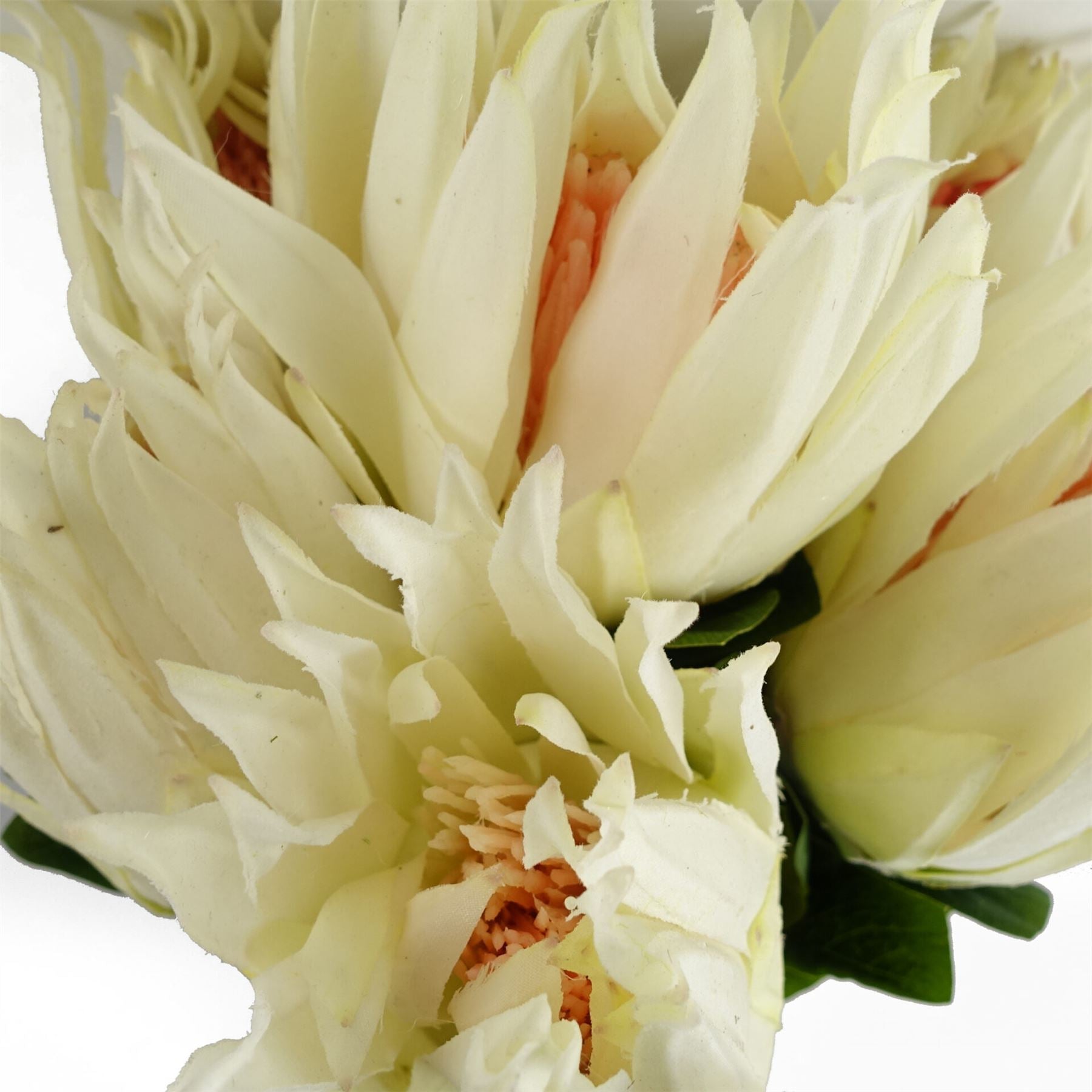65cm Artificial Protea Sugarbush Flower Stem White