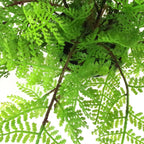 Faux 30cm Artificial Potted Lady Fern