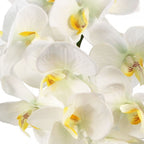 52cm Artificial Orchid Large -White Silver