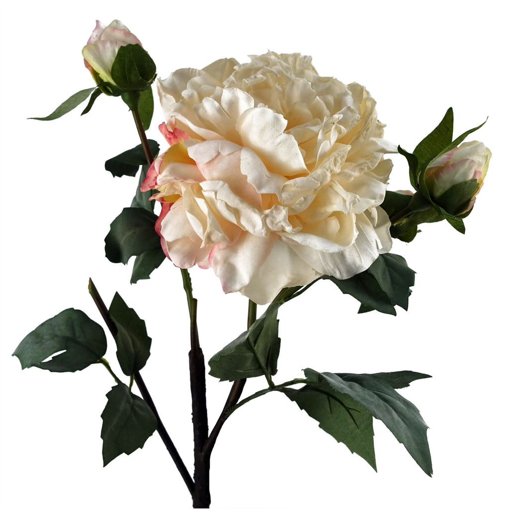 60cm Peony Artificial Flower Cream 1 Flower 3 Buds