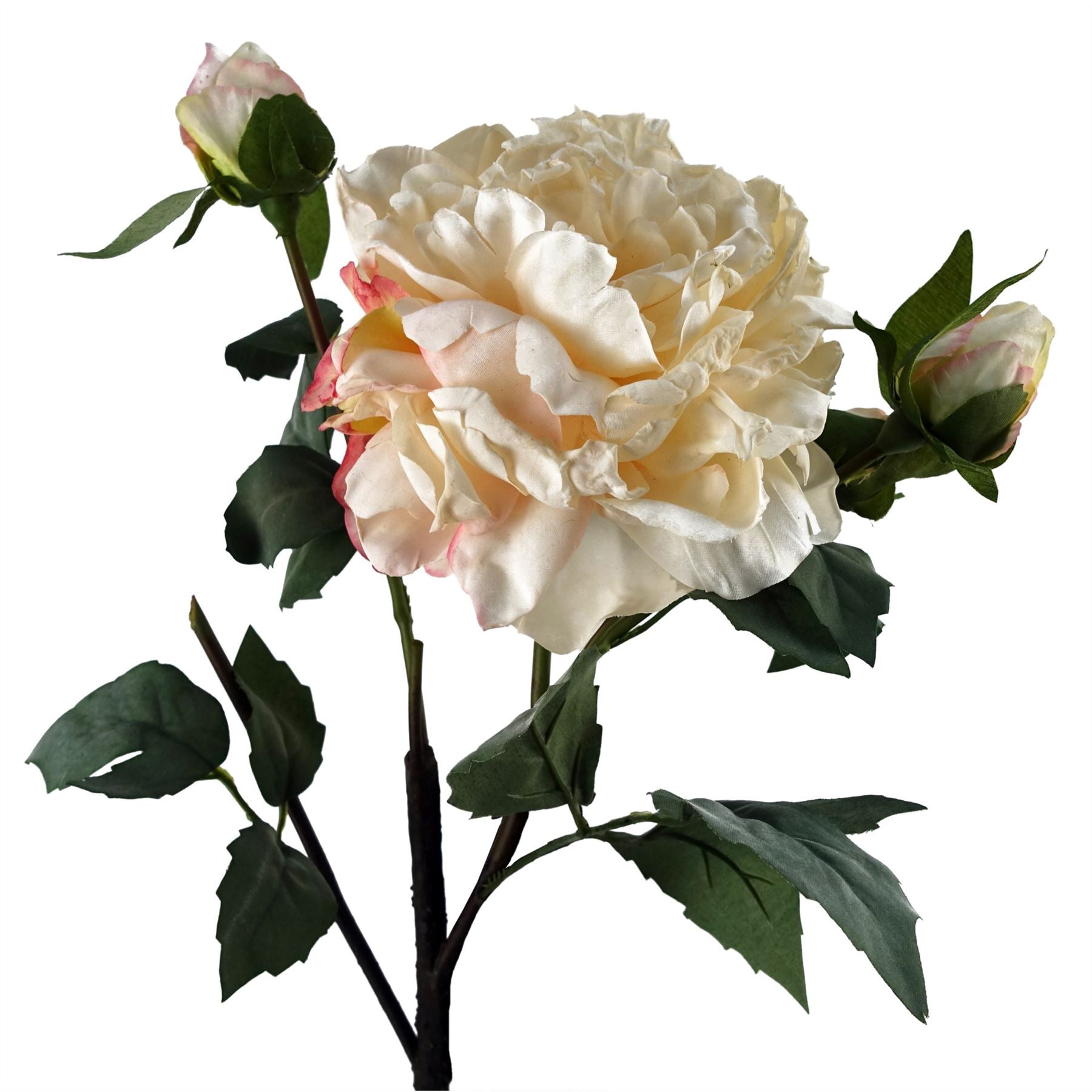 60cm Peony Artificial Flower Cream 1 Flower 3 Buds