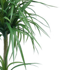 90cm Artificial Double Dracaena Plant