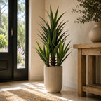 110cm Agave Tropical Display in Pot Artificial