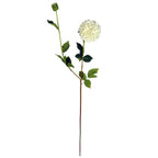 75cm Artificial Dahlia PomPom Flowers Cream