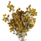 85cm Craspedia Stem Yellow Artificial