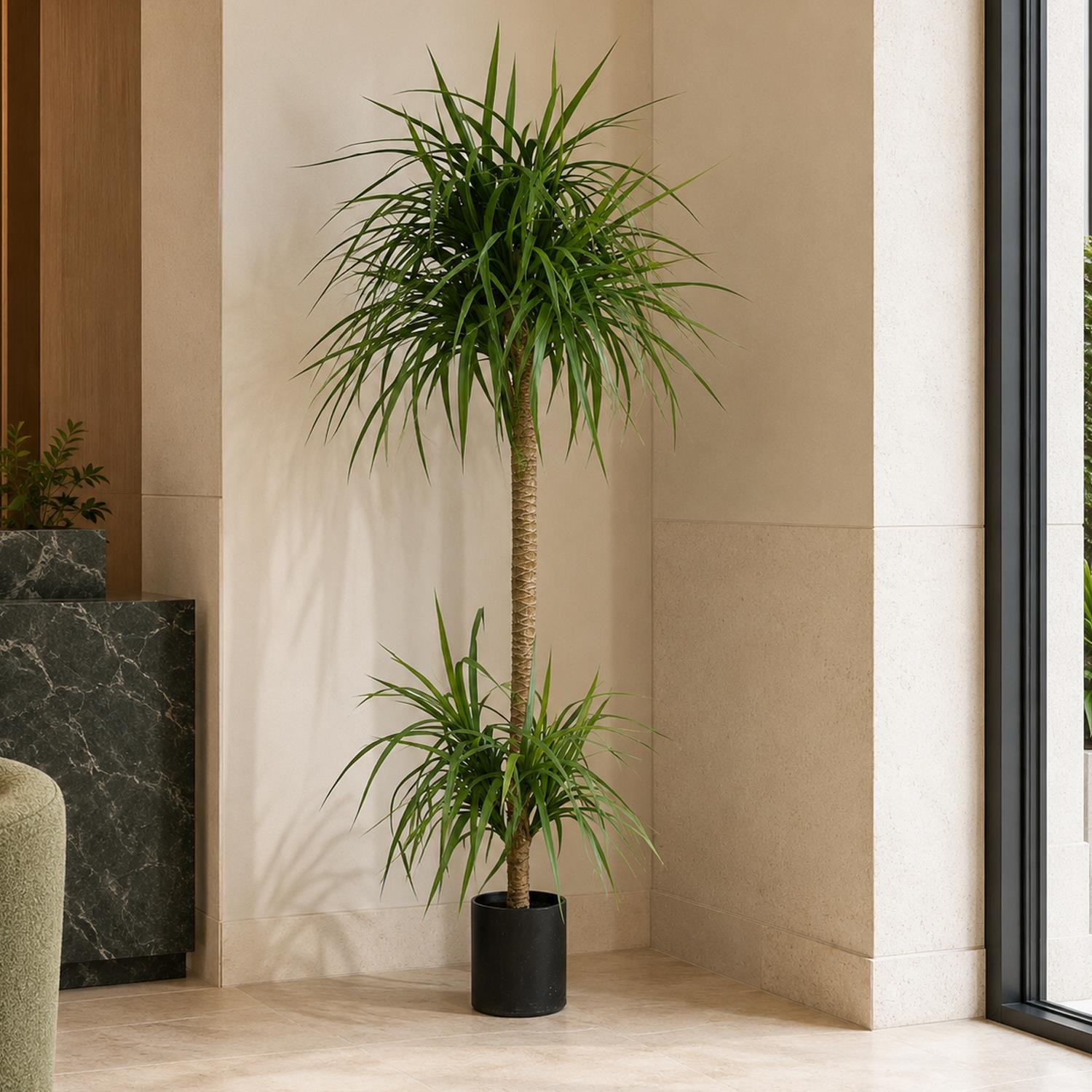180cm Dracaena Realistic Artificial Tree