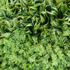 100cm Artificial Green Wall Panel Mixed Foliage Faux Living Wall