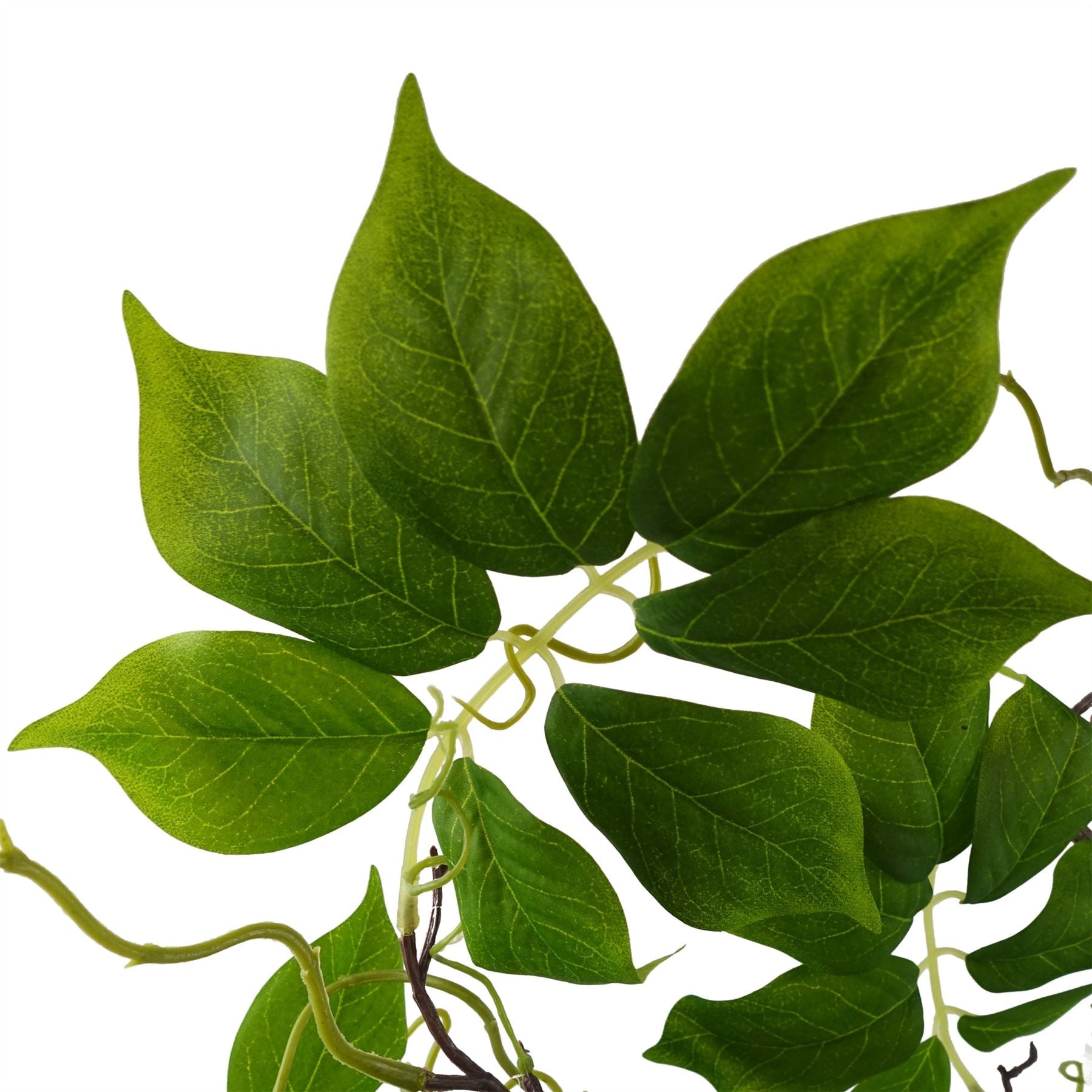 90cm Artificial White Wisteria Bush