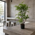 Artificial 90cm Natural Moss Base Fern Foliage Plant