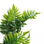 50cm Artificial Fern Spray Stem Spring Green