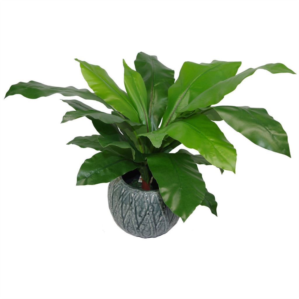 60cm Bushy Large Bird's Nest Fern Plant Artificial