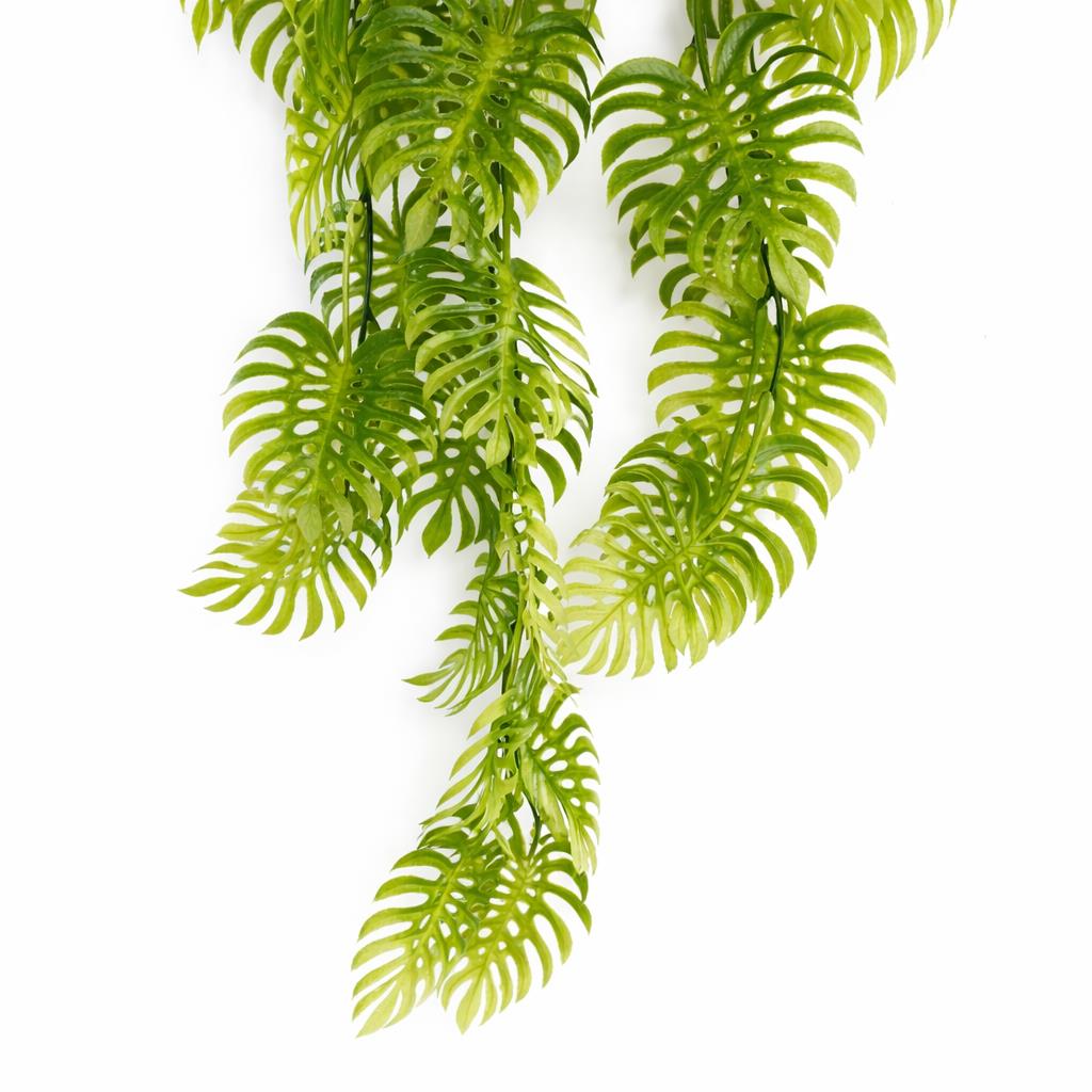 80cm Artificial Trailing Tropical Monstera Plant Light Green