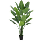 200cm Traveller Palm Artificial Tree