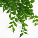 100cm Artificial Hanging String of Pearls Fern Plant Light Green