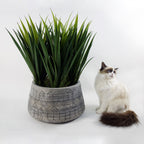 x 37cm Large Grey Gliese Embossed Planter 22cm