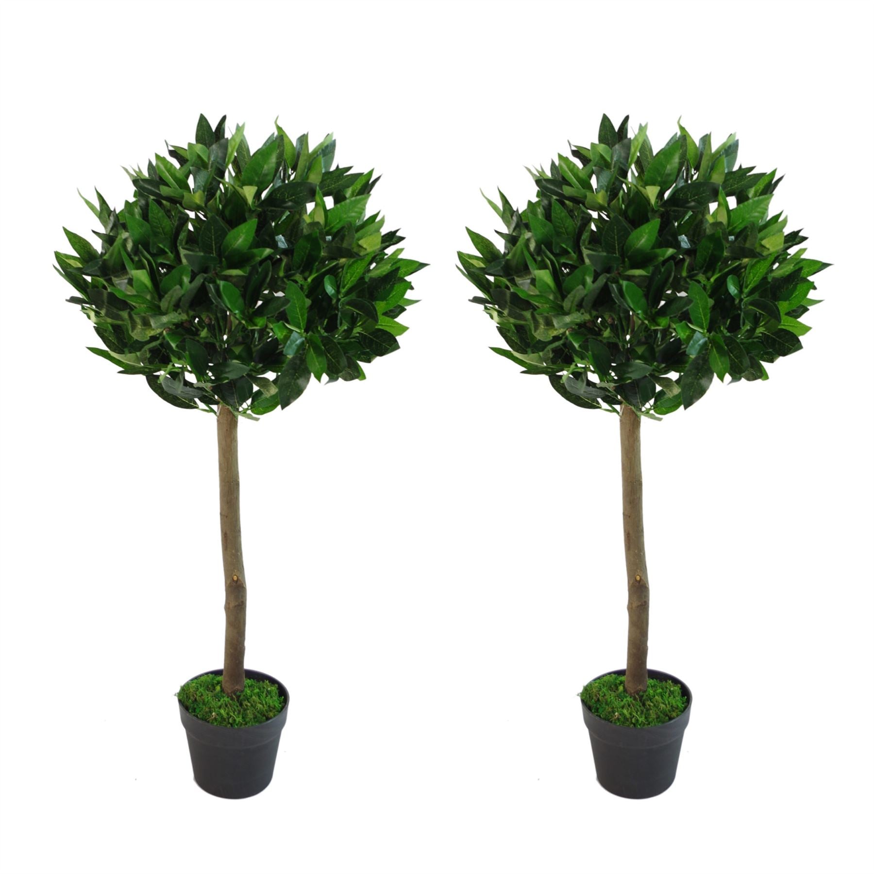 Pair of 90cm Plain Stem Artificial Topiary Bay Laurel Ball Trees