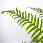 50cm Artificial Boston Fronded Fern Plant