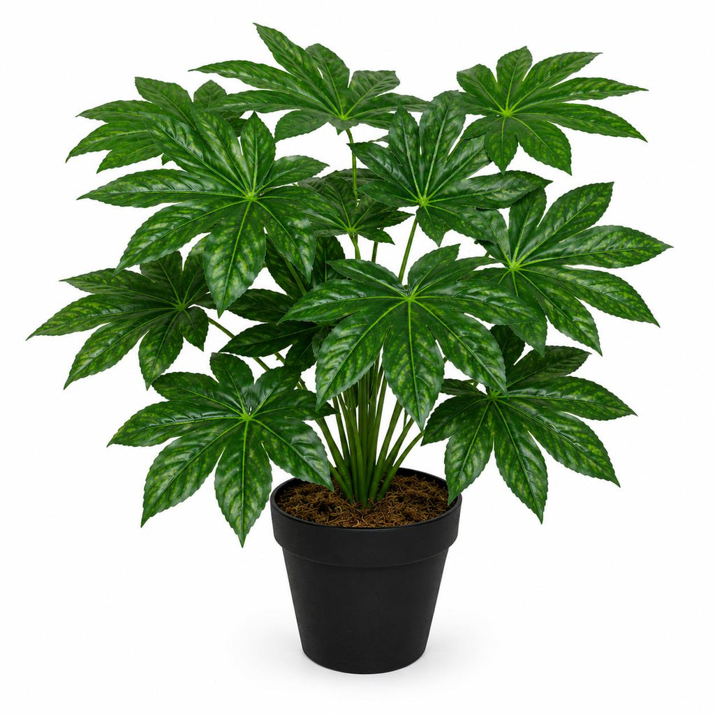 60cm Artificial Japanese Aralia Plant Evergreen