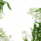 170cm Artificial White Flowering Greenery Garland Hanging Decoration
