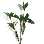 55cm Artificial Laurel Leaf Spray Stem