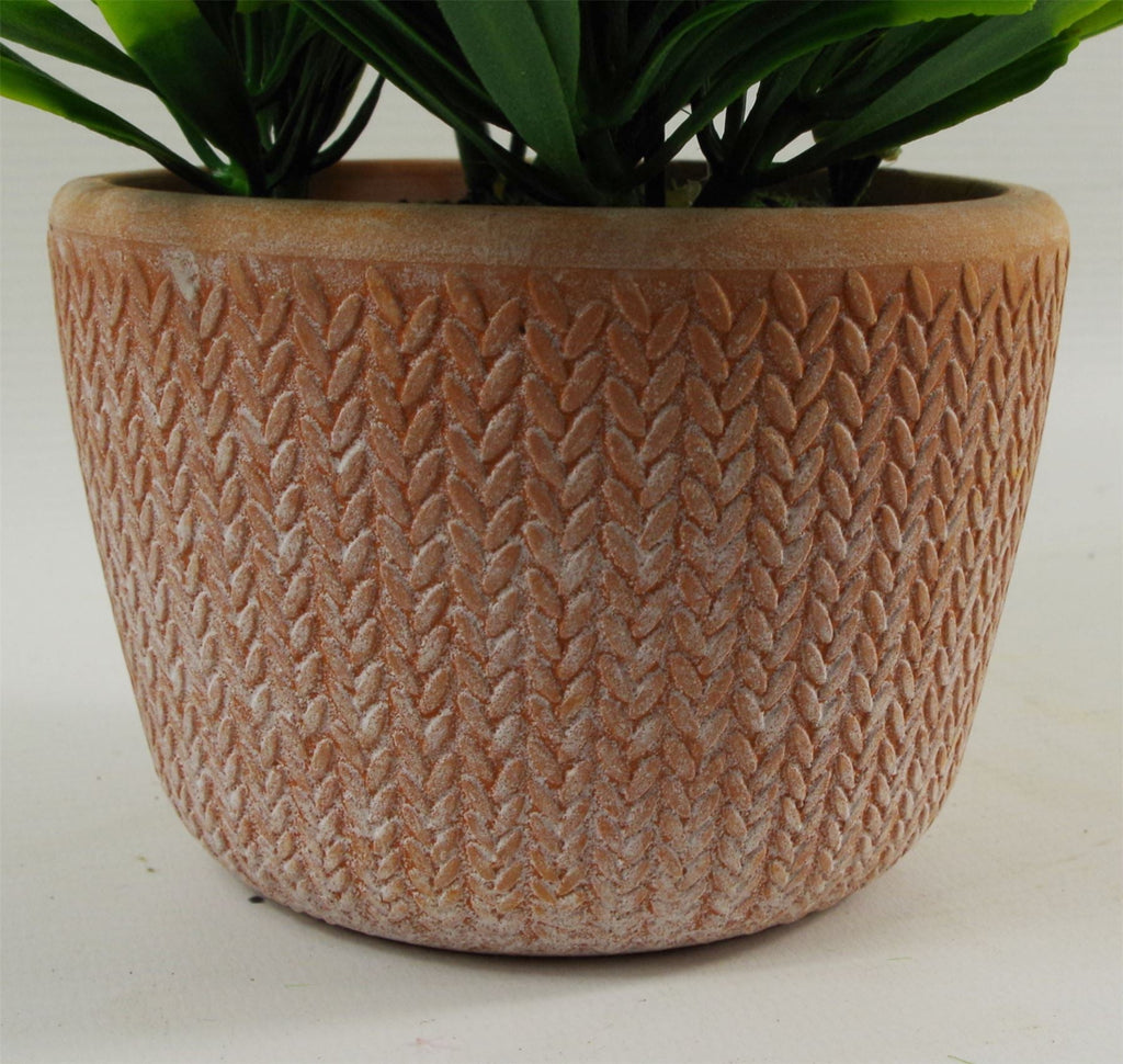 22cm Artificial Honey Plant Dark Green in Terracotta Pot