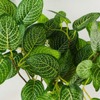40cm Artificial Variegated Pothos Plant