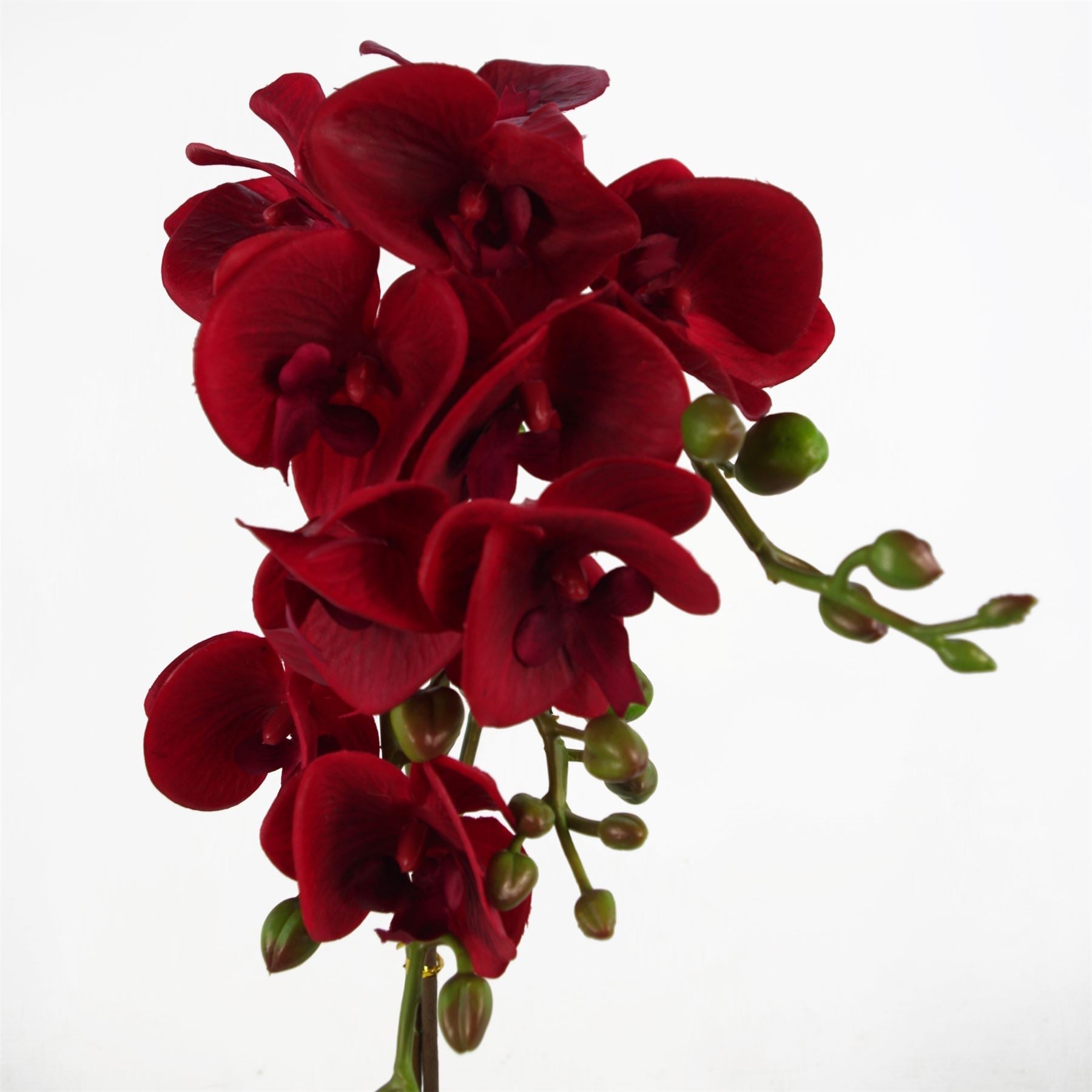 50cm Phalaenopsis Orchid Artificial Dark Red Gold Pot