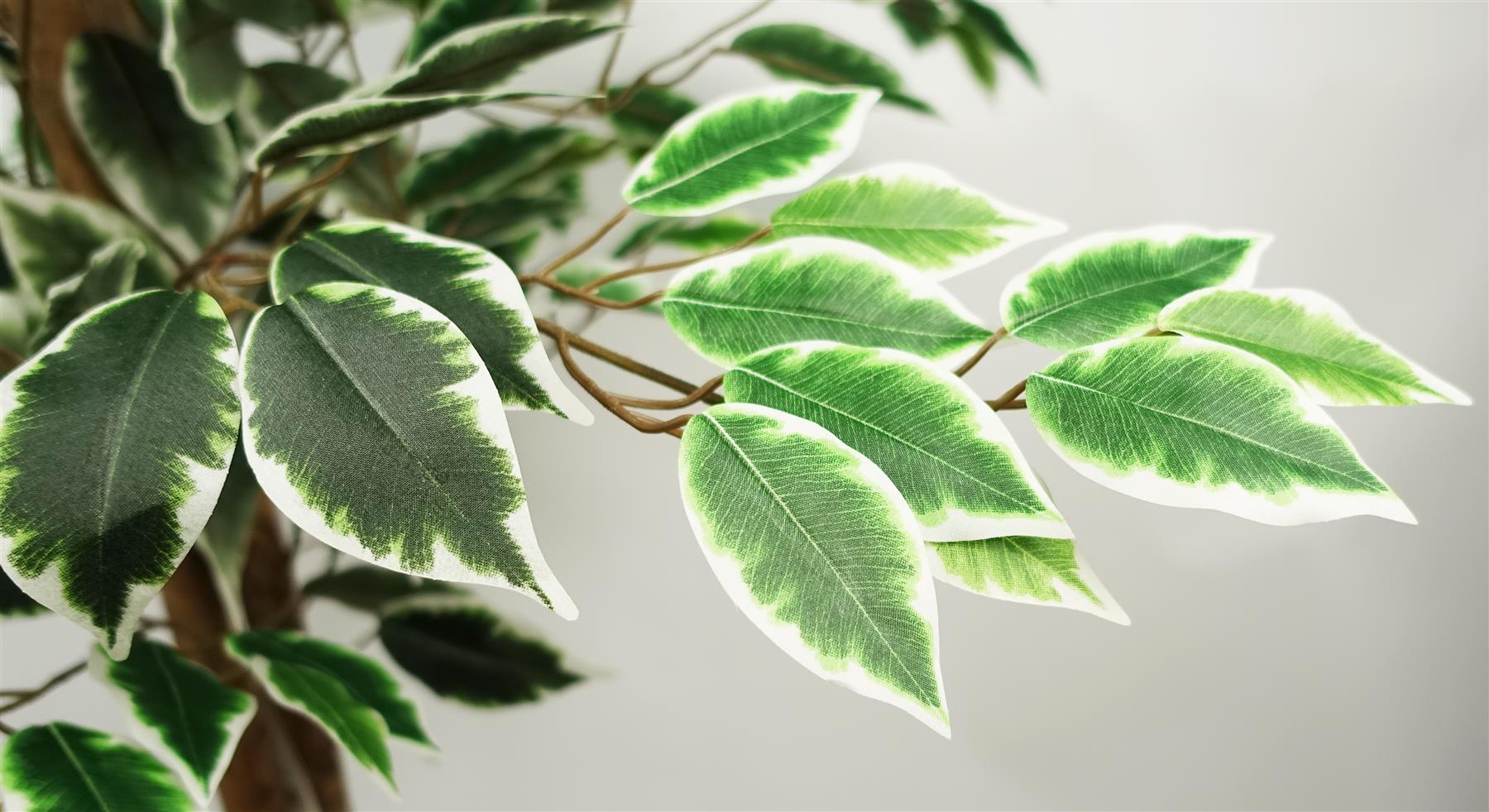 150cm Artificial Ficus Tree 1008 Silk Leaves