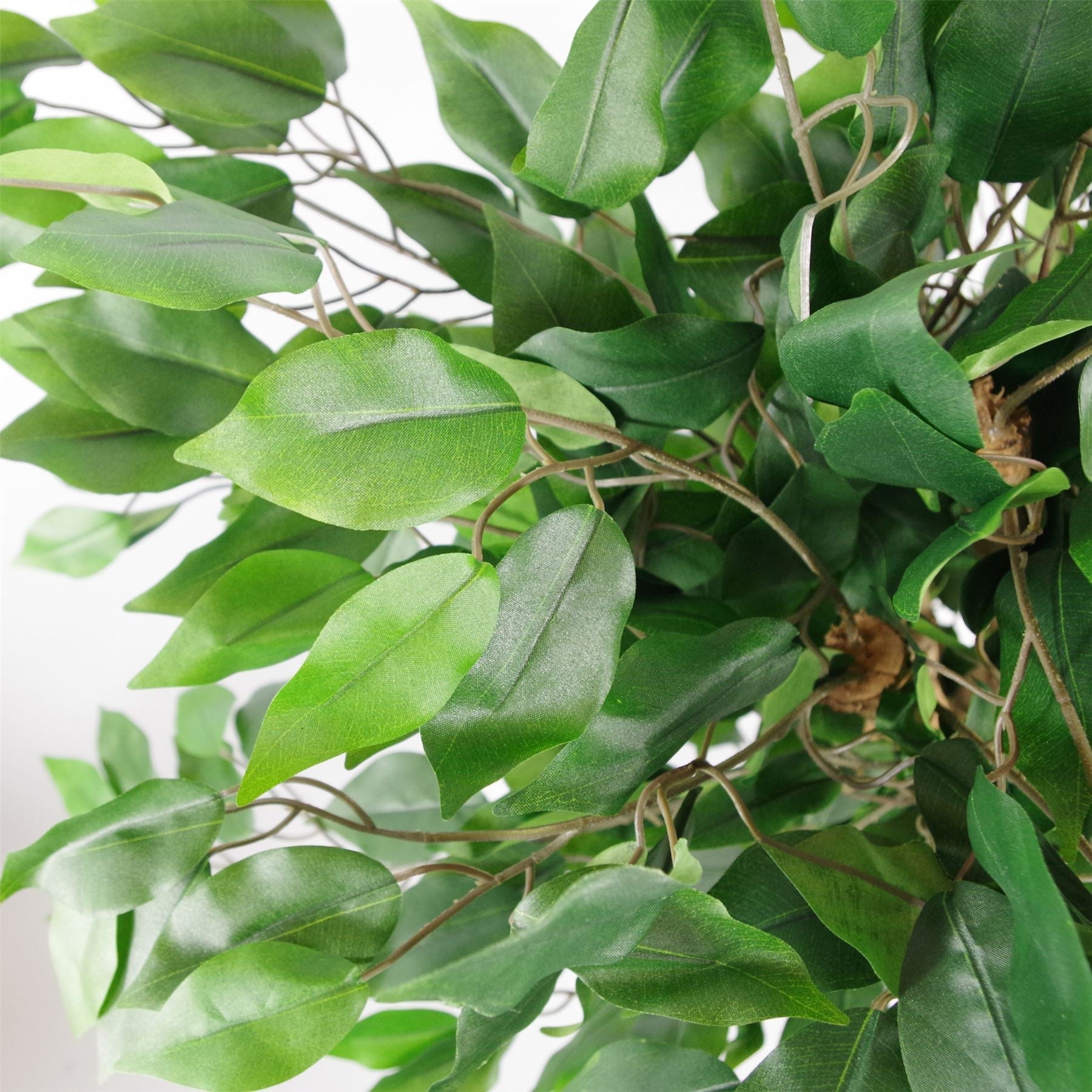 90cm Artificial Evergreen Ficus Tree