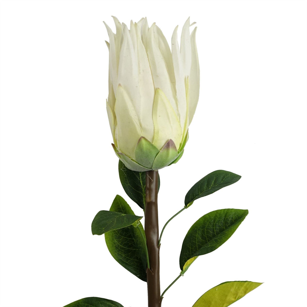 65cm Artificial Protea Sugarbush Flower Stem White