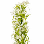 48cm Artificial White Blossom Spray Stem