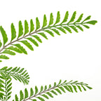 55cm Artificial Himilayan Maidenhair Fern Bush Light Green Plant