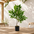 65cm Artificial Toona Sinensis Plant Evergreen