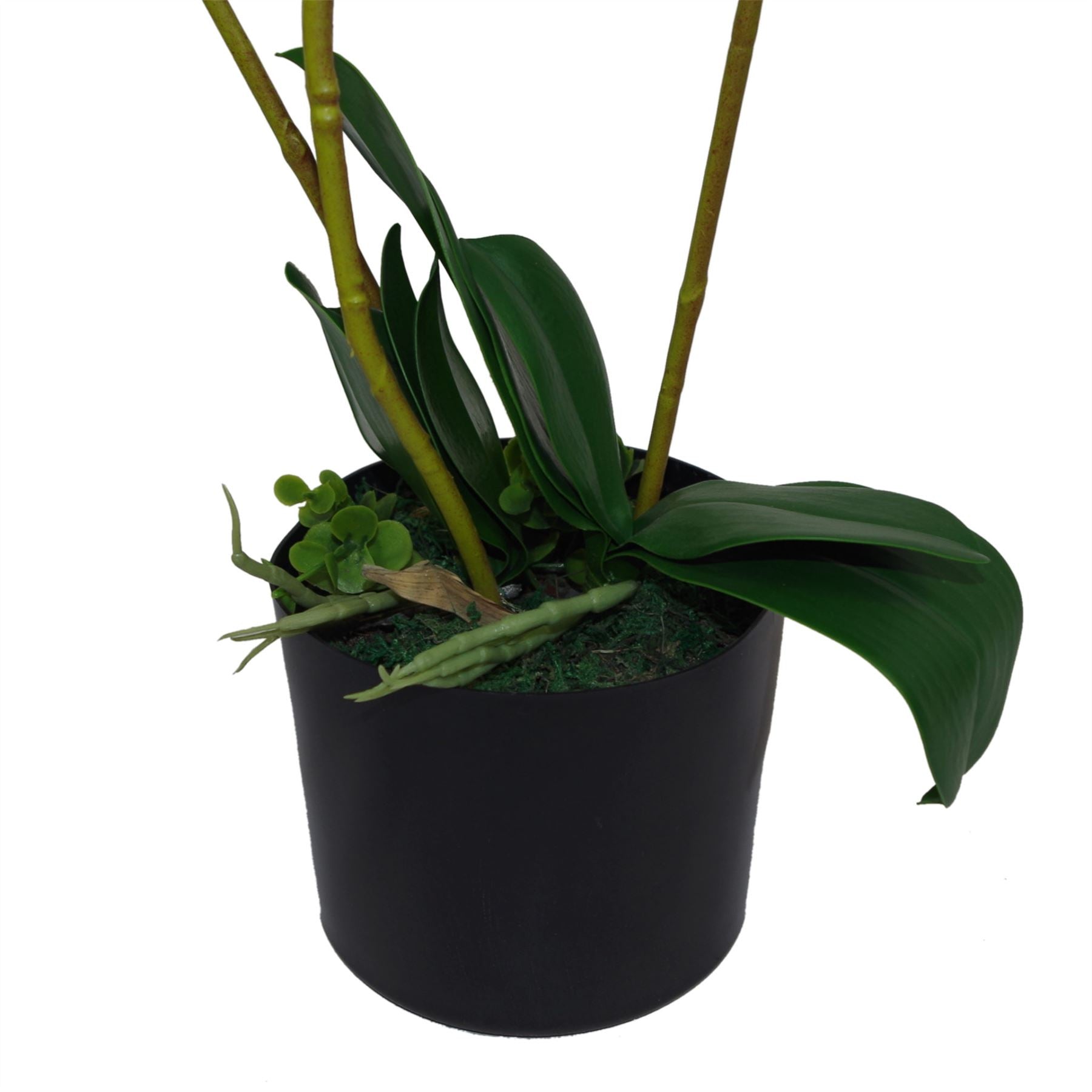 65cm Luxury Artificial Orchid 3 Stems Soft White Plant