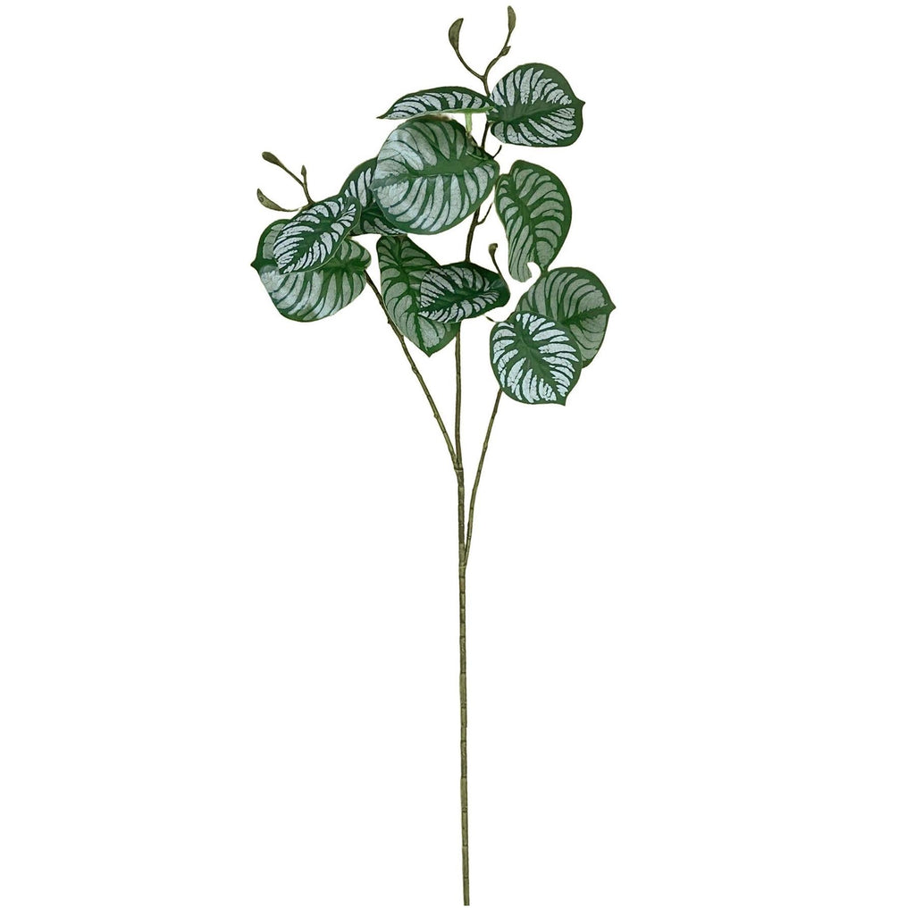 70cm Artificial Zebra Foliage