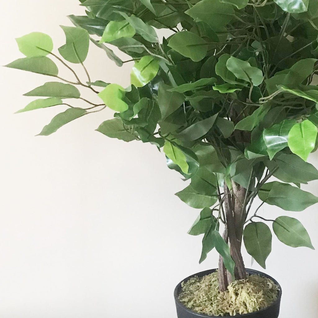 60cm Artificial Ficus Tree Large Bushy Shape