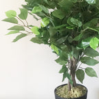 60cm Artificial Ficus Tree Large Bushy Shape