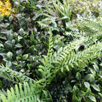 100cm Artificial Tropical Mixed Foliage Green Wall Panel Red Yellow