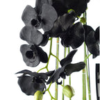 110cm Artificial Black Orchid Plant Artifcial 41 REAL TOUCH flowers