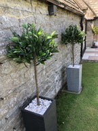 120cm Plain Natural Trunk Artificial Topiary Bay Laurel Ball Tree